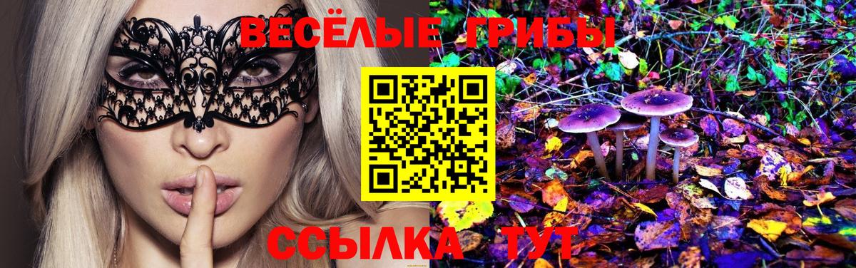 Галлюциногенные грибы Cubensis Славянск-на-Кубани